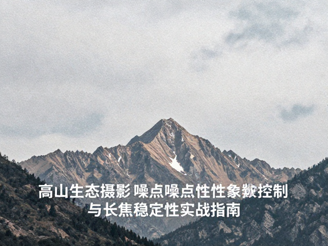 高ISO下的噪点特性与参数平衡