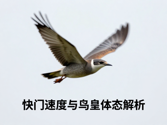 人工繁育放归拍摄的特殊场景应对