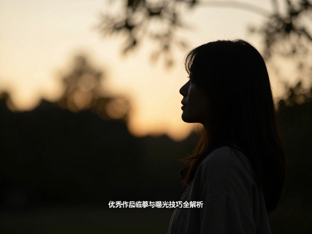 构图设计与主体形态的提炼