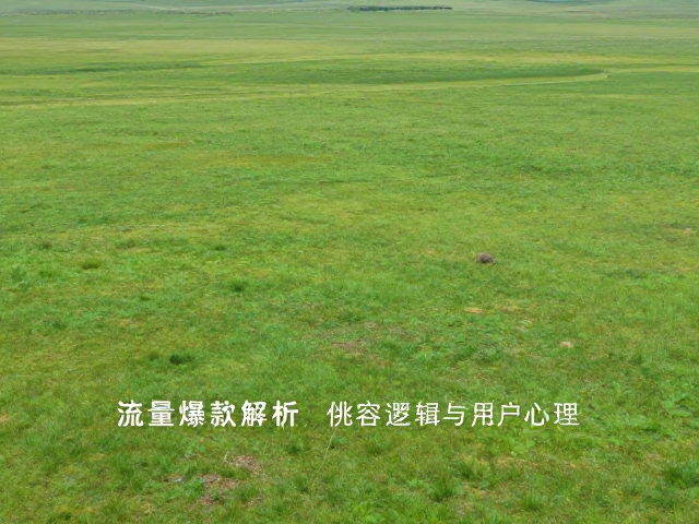 流量爆款的内容逻辑与用户心理