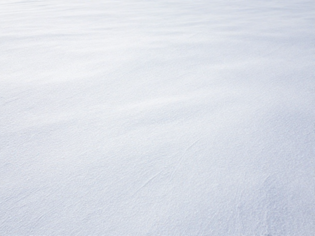 雪地环境的色彩与光影控制策略