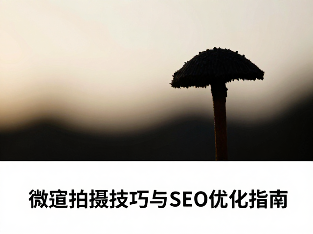 微距生态摄影的光线与构图基础