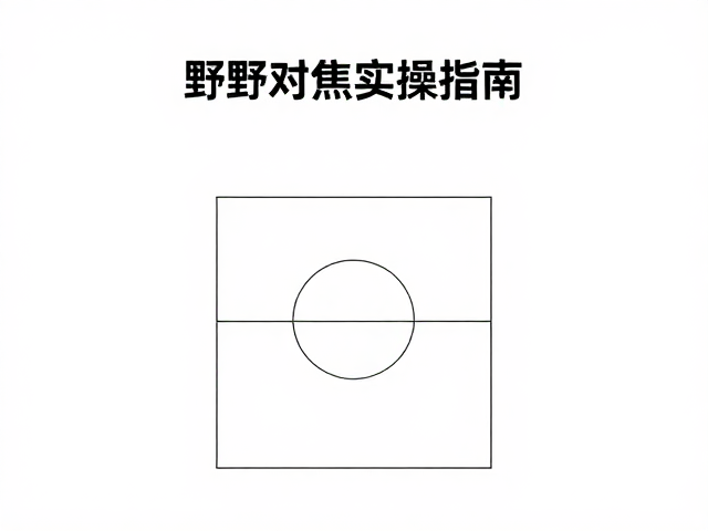 预对焦与区域设定的核心逻辑