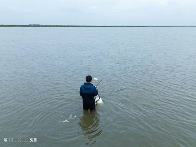 科学监测与数据支撑