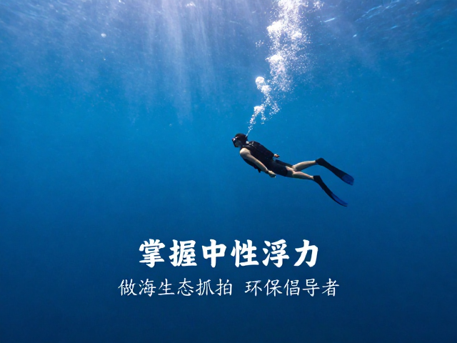 提升生态观察体验与环保倡导的关联性