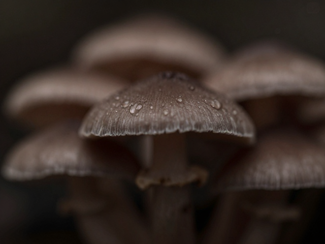 低调深沉质感的视觉构建与用光策略