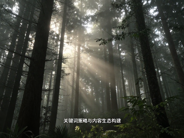 SEO灵感指南:关键词策略与内容生态构建