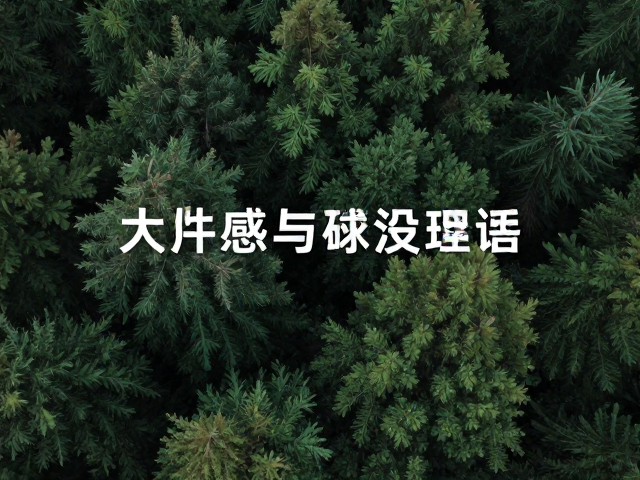光圈选择与景深控制的物理特性