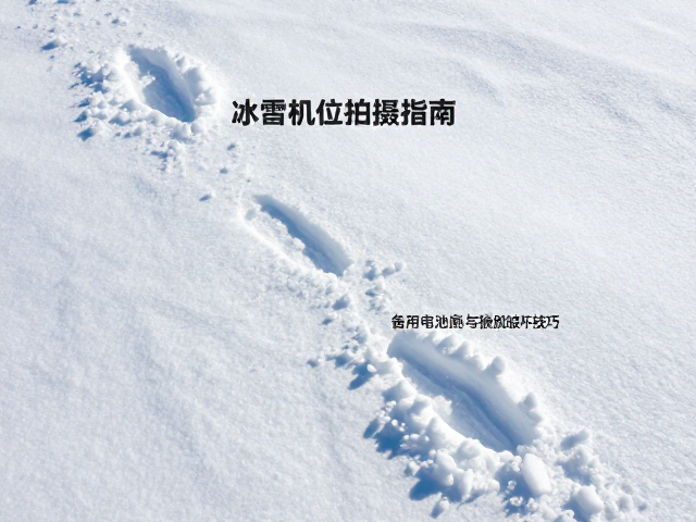 严寒环境下的电力管理策略