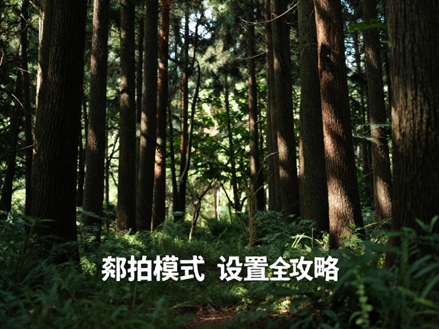 光影环境与拍摄参数的协同调整