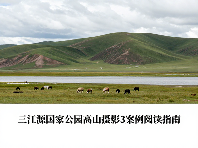 景观构图与自然美学表达