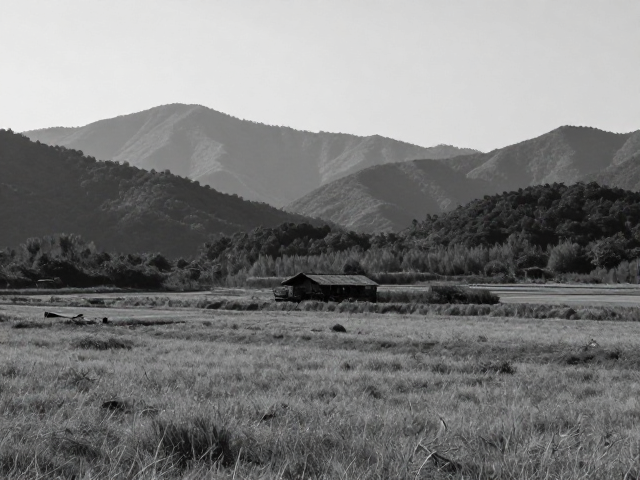 空间层次:前景、中景与背景的灰度引导