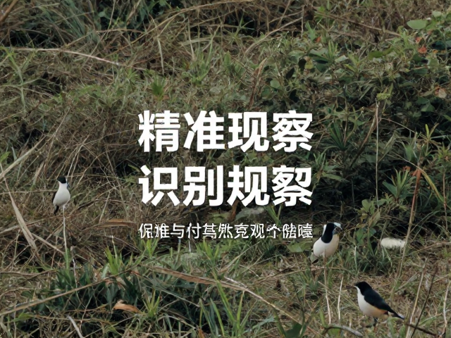 色彩与装备的低调化处理