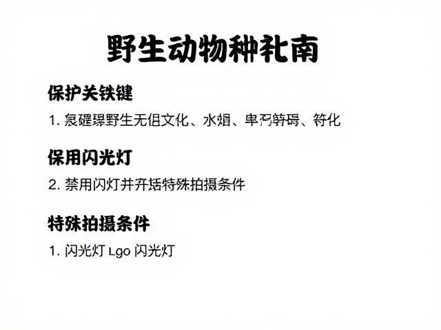野生动物摄影的核心伦理:距离与干扰的最小化