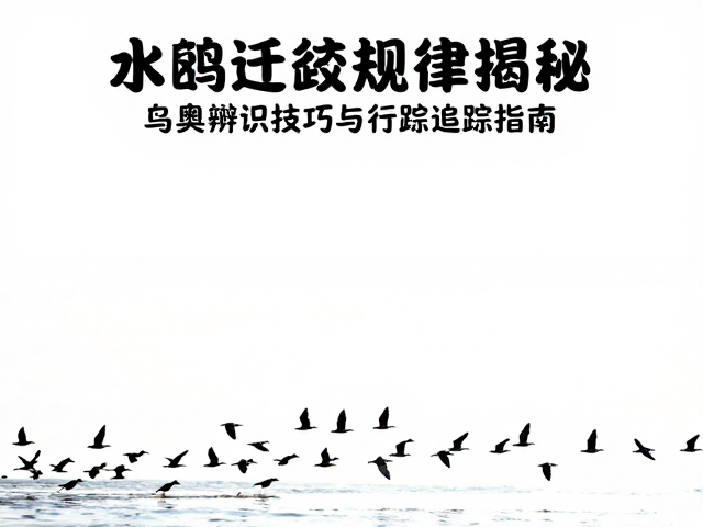 水禽迁徙的核心驱动力与环境线索