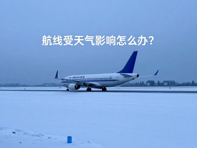 气象数据监测与动态决策