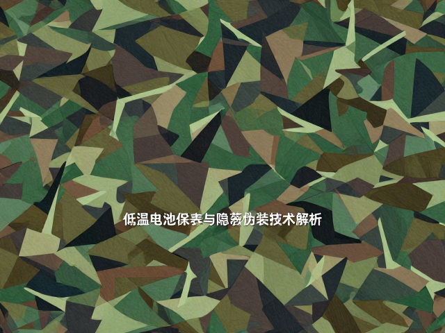 多光谱伪装与环境融合机制