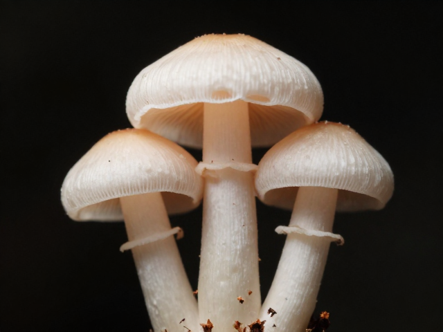 布光策略与辅助器材的精细化运用