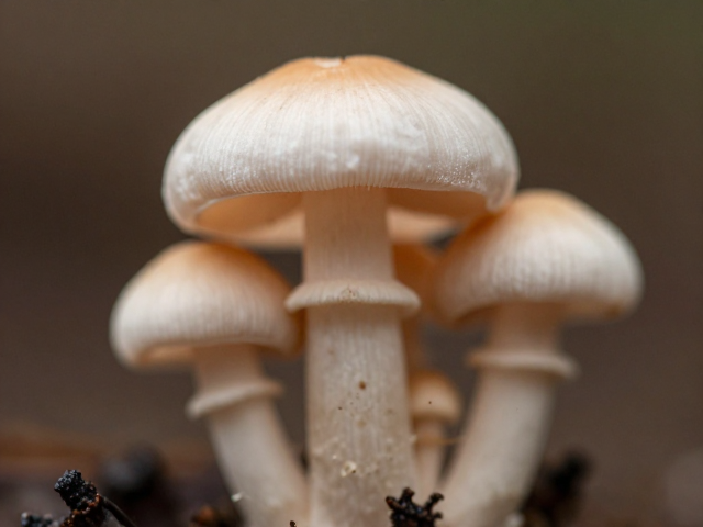 后期处理与细节还原的专业流程