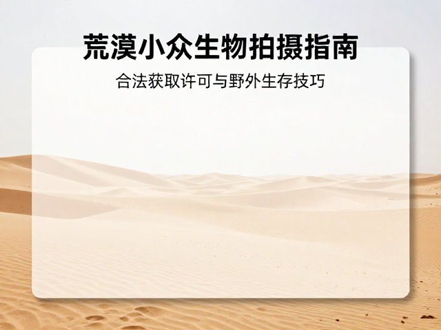 前期规划与许可申请