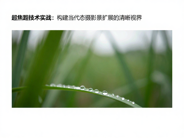 超焦距原理与生态摄影的焦点博弈