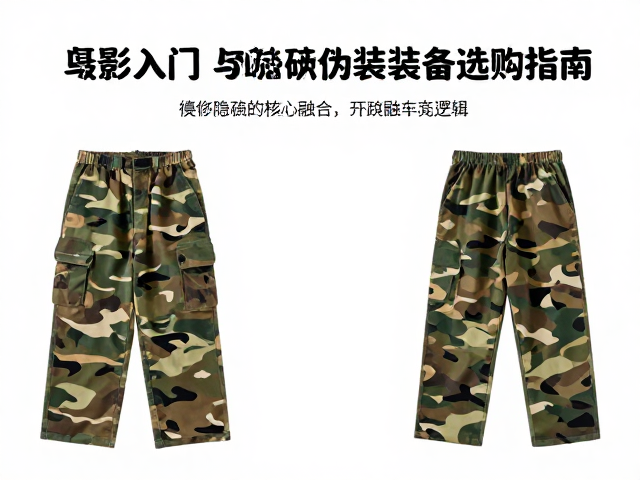 隐蔽伪装的核心逻辑与环境融合