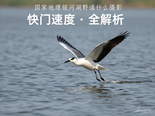 凝固瞬间:快门速度与动态模糊的艺术平衡