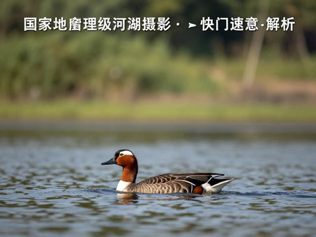 环境融合:背景虚化与光线互动的从属关系