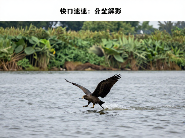 实战场景:不同生态主体的参数微调策略
