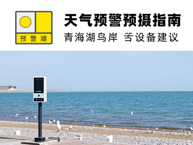 最佳拍摄指南:光线、构图与设备建议