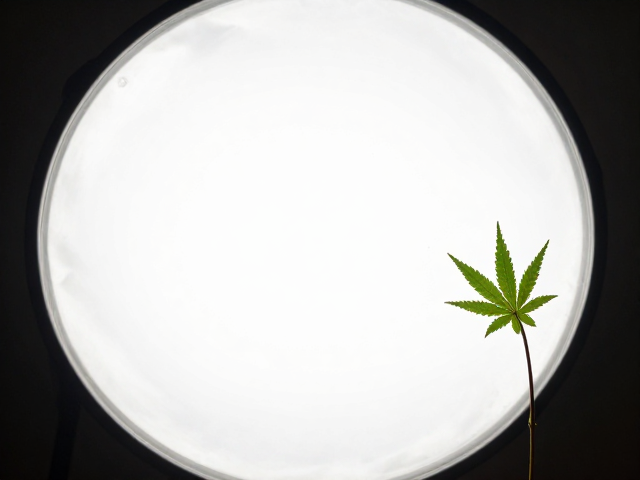 柔光的艺术:反光板与柔光罩的光线调控逻辑