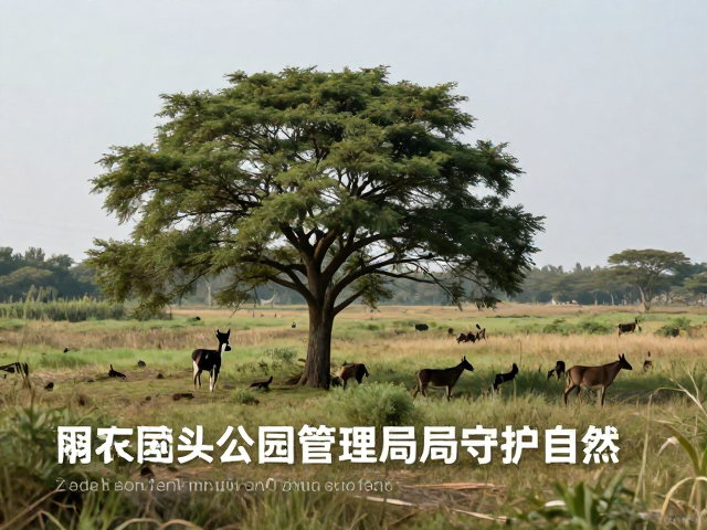 技术赋能与自然教育