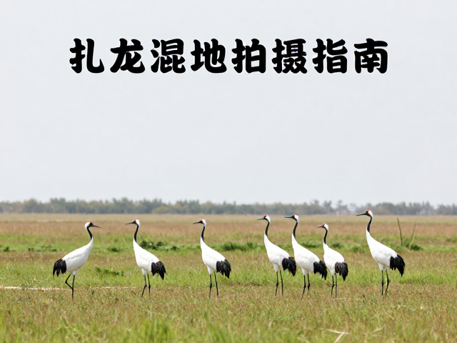 拍摄参数与器材准备