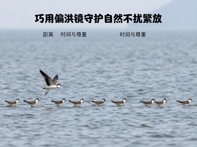 伦理守则与合规拍摄:距离、时间与尊重