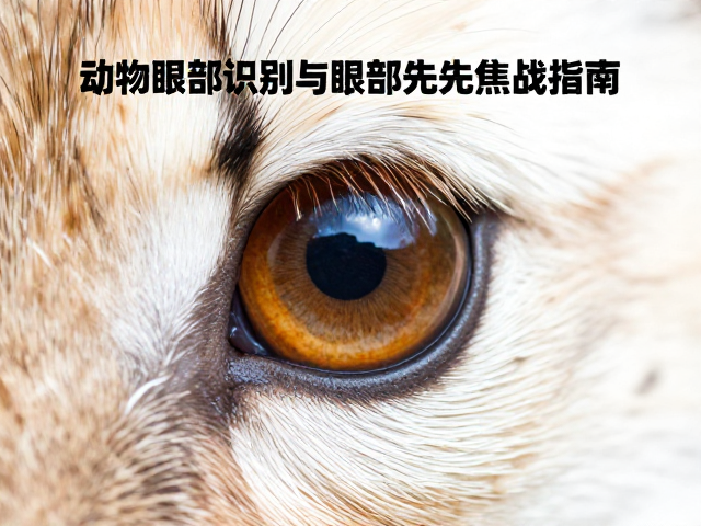 精准捕捉:动物眼部识别对焦的核心逻辑