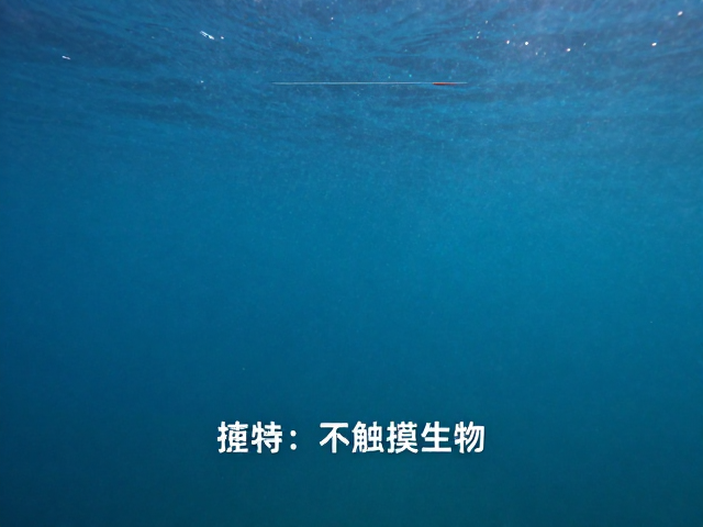 纪实摄影的伦理边界与生态保护