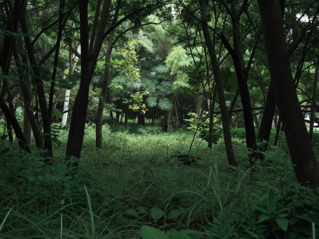 城郊小众野生秘境,城市边缘林地里的自然散射光摄影指南