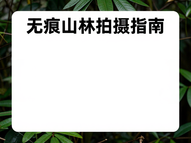 保护区规定与合规拍摄实践
