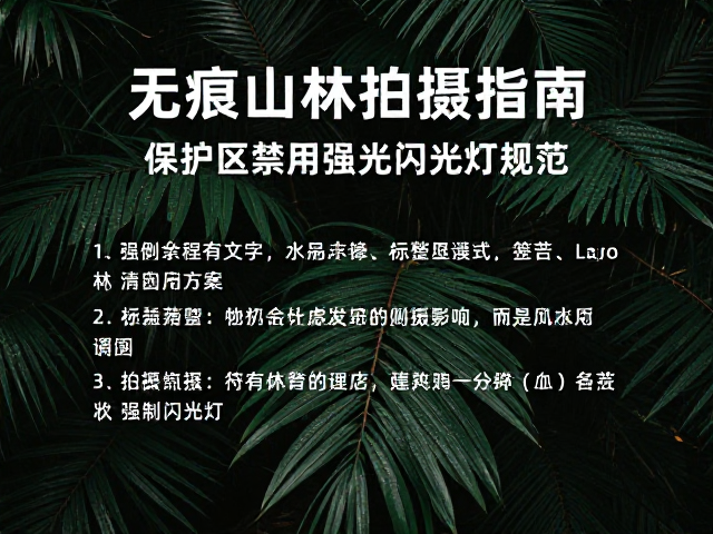 拍摄参数调整与替代方案