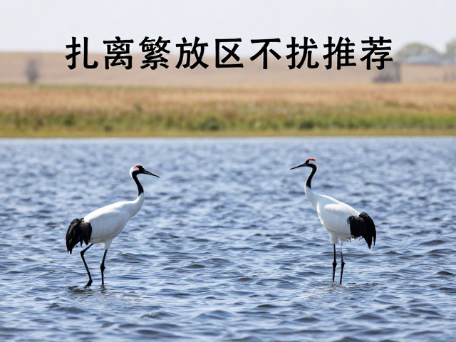 行为规范与生态保护细节