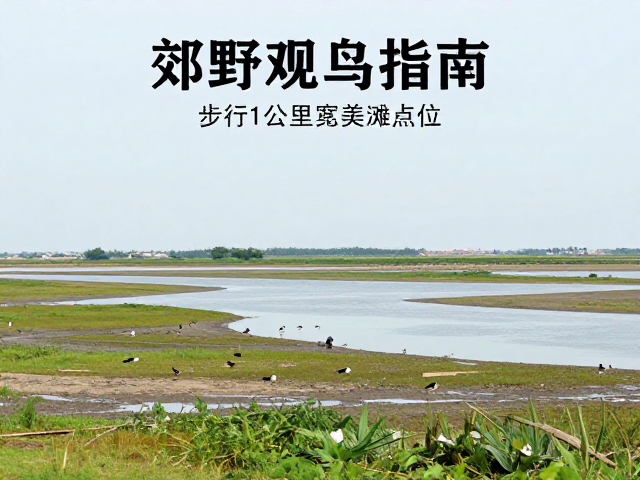 选址策略与交通接驳