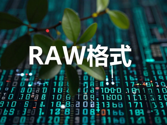 数码影像底层的数据逻辑:理解RAW格式的核心价值