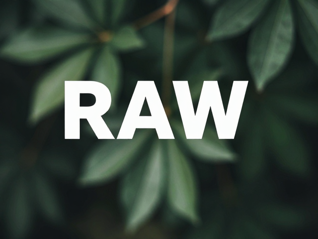 RAW与虚化的协同:后期处理中的细节重塑