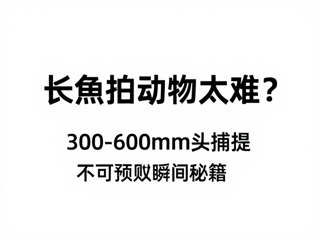 预判行为与场景选择的策略