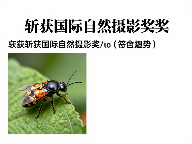 奖项导向与行业趋势