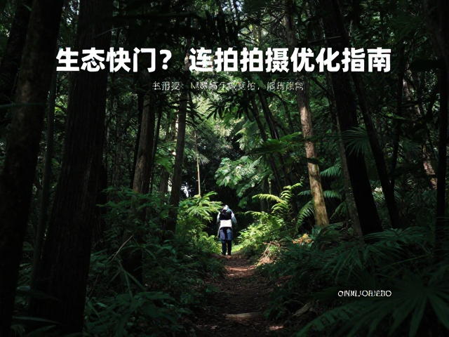 实战中的操作流程调整