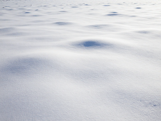 雪地环境对相机白平衡系统的干扰机制