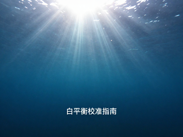 现场色温测量与手动预设策略