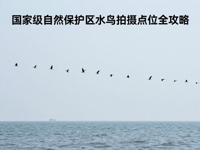 拍摄技巧与构图美学