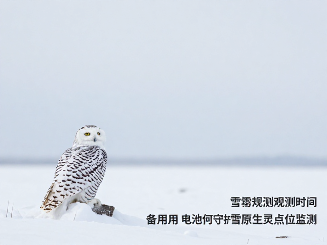 数据连续性与生态监测价值